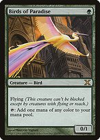 Matte Finish Tenth Edition Birds of Paradise ( #252 )
