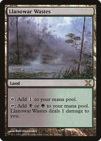 Matte Finish Tenth Edition Llanowar Wastes ( #355 )