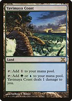 Matte Finish Tenth Edition Yavimaya Coast ( #363 )