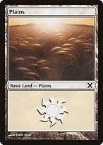Matte Finish Tenth Edition Plains ( #365 )