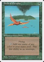 Glossy Finish Fourth Edition Birds of Paradise ( #234 )