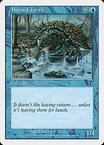 Glossy Finish Seventh Edition Horned Turtle ( #80 )
