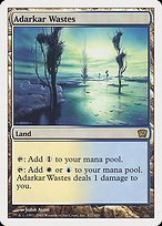 Matte Finish Ninth Edition Adarkar Wastes ( #317 )