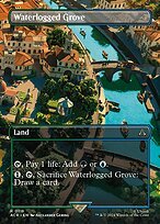Matte Finish Assassin's Creed Waterlogged Grove ( #116 )