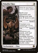 Matte Finish Adventures in the Forgotten Realms Paladin Class ( #29 )