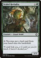 Matte Finish Adventures in the Forgotten Realms Scaled Herbalist ( #204 )