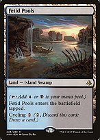 Glossy Finish Amonkhet Fetid Pools ( #243 )