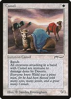 Matte Finish Arabian Nights Camel ( #3 )