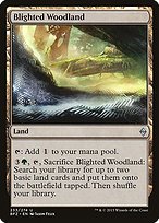 Glossy Finish Battle for Zendikar Blighted Woodland ( #233 )
