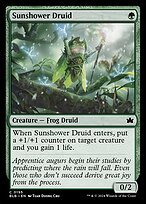 Matte Finish Bloomburrow Sunshower Druid ( #195 )