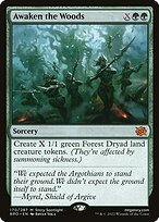 Matte Finish The Brothers' War Awaken the Woods ( #170 )