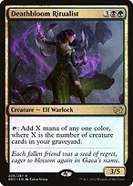 Matte Finish The Brothers' War Deathbloom Ritualist ( #208 )