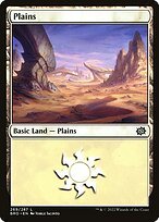 Matte Finish The Brothers' War Plains ( #269 )