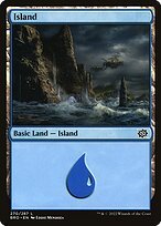 Matte Finish The Brothers' War Island ( #270 )
