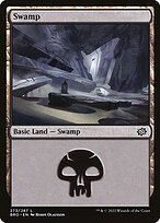 Matte Finish The Brothers' War Swamp ( #273 )