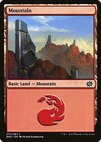 Matte Finish The Brothers' War Mountain ( #275 )