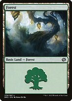 Matte Finish The Brothers' War Forest ( #276 )