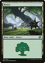 Matte Finish The Brothers' War Forest ( #277 )