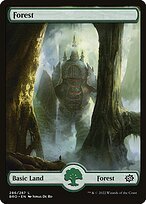 Matte Finish The Brothers' War Forest ( #286 )
