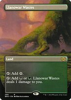 Matte Finish The Brothers' War Llanowar Wastes ( #299 )