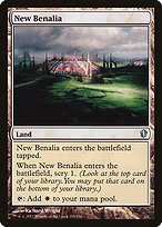 Glossy Finish Commander 2013 New Benalia ( #309 )