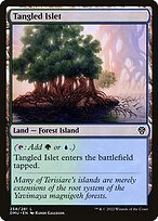 Matte Finish Dominaria United Tangled Islet ( #258 )