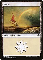Matte Finish Dominaria United Plains ( #263 )