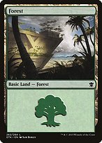 Matte Finish Dragons of Tarkir Forest ( #262 )