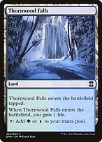 Matte Finish Eternal Masters Thornwood Falls ( #246 )