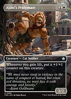 Glossy Finish Foundations Ajani's Pridemate ( #293 )
