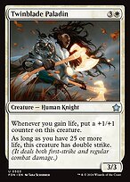 Glossy Finish Foundations Twinblade Paladin ( #503 )