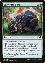 Matte Finish Ikoria: Lair of Behemoths Survivors' Bond ( #172 )