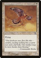 Glossy Finish Judgment Suntail Hawk ( #28 )
