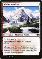 Glossy Finish Kaldheim Alpine Meadow ( #248 )