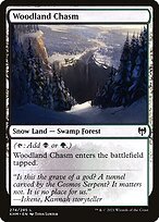 Glossy Finish Kaldheim Woodland Chasm ( #274 )
