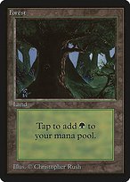 Glossy Finish Limited Edition Beta Forest ( #302 )
