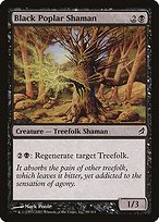 Matte Finish Lorwyn Black Poplar Shaman ( #99 )