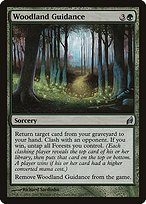 Matte Finish Lorwyn Woodland Guidance ( #243 )