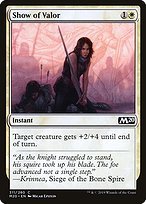 Glossy Finish Core Set 2020 Show of Valor ( #311 )