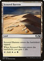 Glossy Finish Core Set 2021 Scoured Barrens ( #250 )