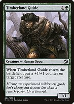 Glossy Finish Innistrad: Midnight Hunt Timberland Guide ( #202 )