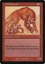 Glossy Finish Mercadian Masques Wild Jhovall ( #227 )