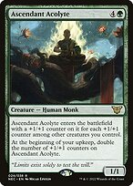 Glossy Finish Neon Dynasty Commander Ascendant Acolyte ( #24 )