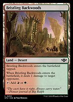 Matte Finish Outlaws of Thunder Junction Bristling Backwoods ( #253 )