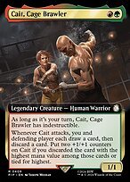 Glossy Finish Fallout Cait, Cage Brawler ( #409 )
