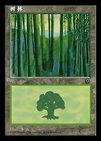 Matte Finish Portal Forest ( #214 Variant)