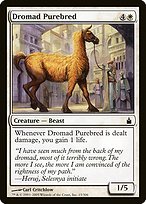 Glossy Finish Ravnica: City of Guilds Dromad Purebred ( #15 )
