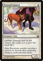 Matte Finish Return to Ravnica Trained Caracal ( #27 )