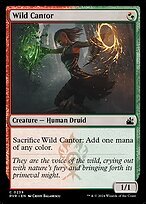 Matte Finish Ravnica Remastered Wild Cantor ( #239 )
