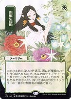 Glossy Finish Strixhaven Mystical Archive Abundant Harvest ( #111 )